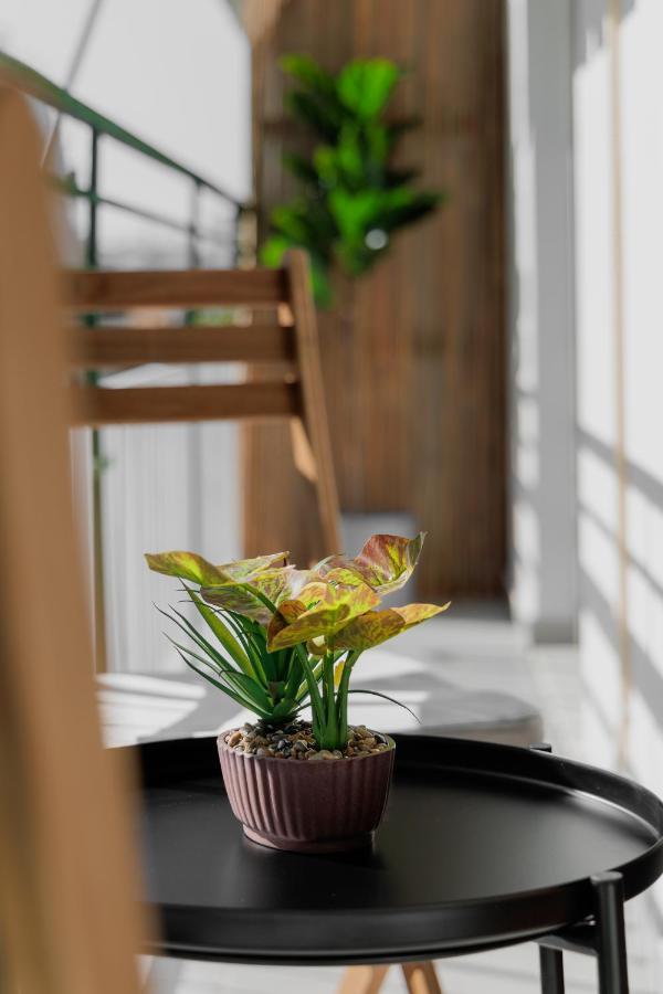 Sunny & Modern Apt For 3 Persons Атина Екстериор снимка